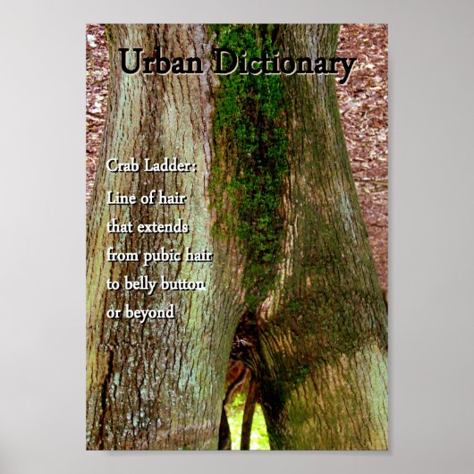 カニはしご ポスター (正面)