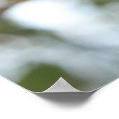 カニりんご木 ポスター (角)