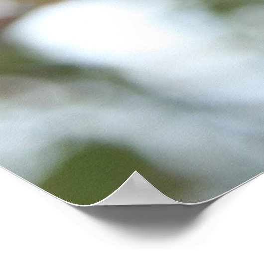 カニりんご木 ポスター (角)