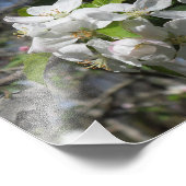 カニりんご花 フォトプリント            (角)