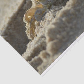 カニインザサンドデコパージティッシュペーパー 薄葉紙 (詳細)