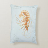 カニエビまたはエビ、ビンテージ海洋生物学の海洋動物 アクセントクッション (裏面(縦))