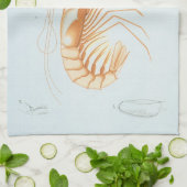 カニエビまたはエビ、ビンテージ海洋生物学の海洋動物 キッチンタオル (折り畳み)