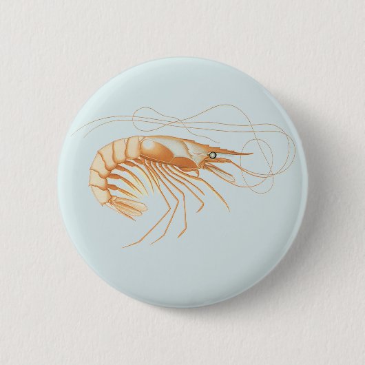 カニエビまたはエビ、ビンテージ海洋生物学の海洋動物 缶バッジ (正面)