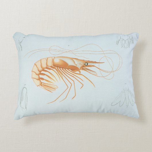 カニエビまたはエビ、ヴィンテージ海洋生物学の海洋動物 アクセントクッション (正面)