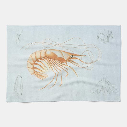 カニエビまたはエビ、ヴィンテージ海洋生物学の海洋動物 キッチンタオル (横)