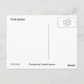 カニクモはがき ポストカード (裏面)