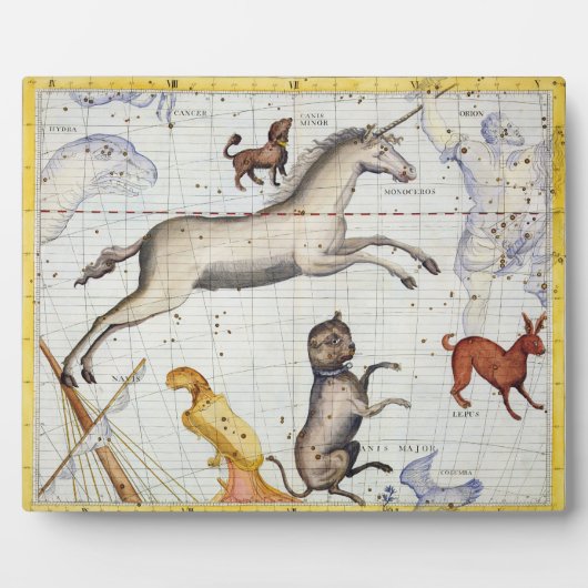 カニスとミとのモノセロ専攻のス星座 フォトプラーク (正面)