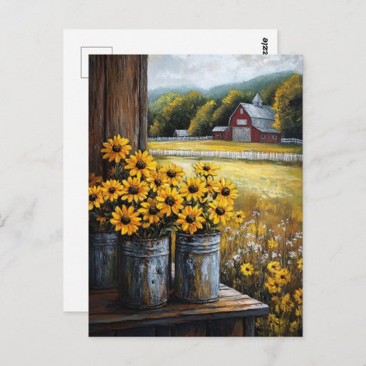 カニスタ素朴スの黒目のスーザン ポストカード (正面/裏面)