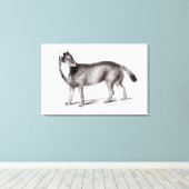 カニス南極 キャンバスプリント (インサイチュ (ウッドフロア))