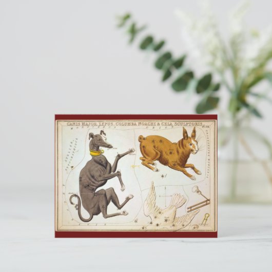 カニス、専攻のレプス、コロンバ・ノアチ&セラ彫刻家 ポストカード (スタンド正面)