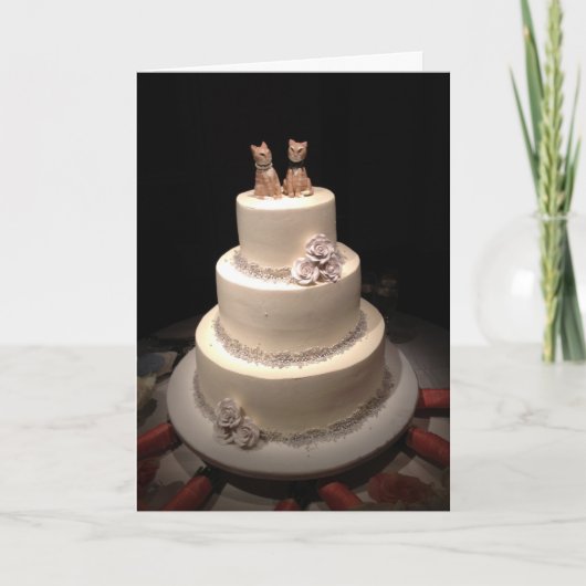 カニップ カード (正面)