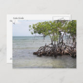 カニャゴルダグアニカ ポストカード (正面/裏面)