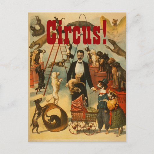 カニーサーカス – ポストカード#2 ポストカード (正面)