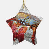 カニ写真 セラミックオーナメント (左)