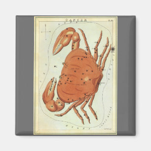 カニ座 クラブ ヴィンテージ星座、ウラニアの鏡 マグネット