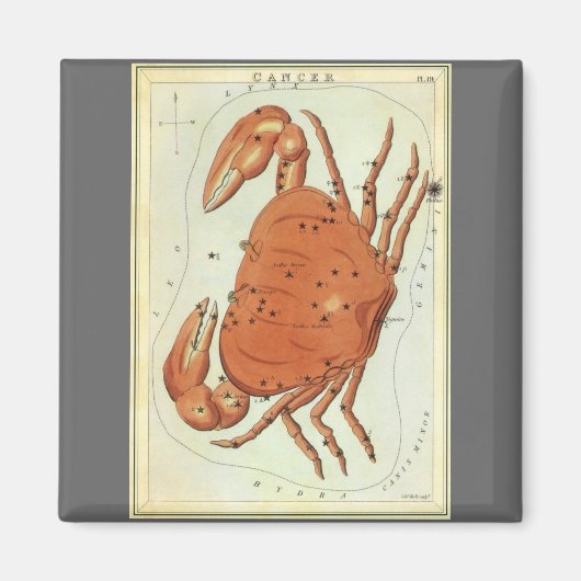 カニ座 クラブ ヴィンテージ星座、ウラニアの鏡 マグネット (正面)