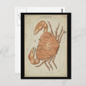 カニ座 ポストカード (正面/裏面)