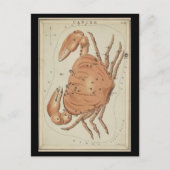 カニ座 ポストカード (正面)