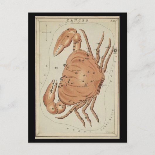 カニ座 ポストカード (正面)