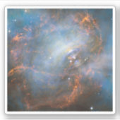 カニ星雲の中心中性子星。 シール (正面)