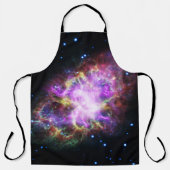 カニ星雲スーパーノバレムナントハッブル複合体 エプロン (正面)