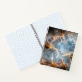 カニ星雲 ノートブック (内部)