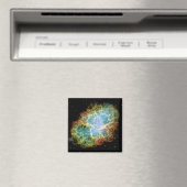 カニ星雲 マグネット (インサイチュ (食洗機))