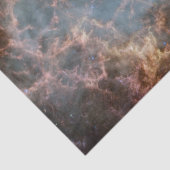 カニ星雲 薄葉紙 (詳細)