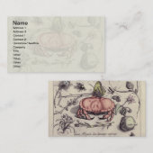 カニ植物昆虫花イラストレーション 名刺 (正面/裏面)