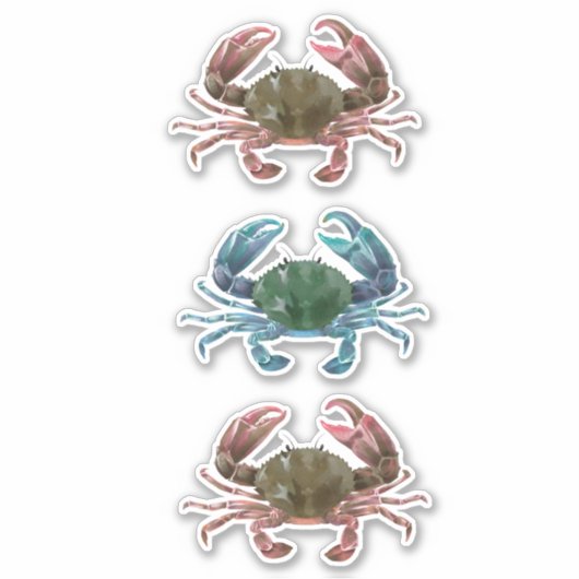 カニ水色甲殻類甲殻類甲殻類 シール (正面)