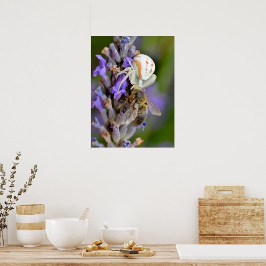 カニ食べクモの蜂のフォイル休日 ポスター (キッチン)