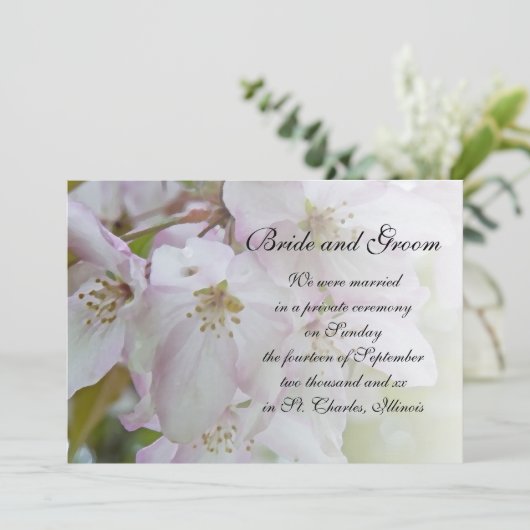 カニ・アップル花嫁宣言 案内状 (スタンド正面)