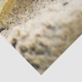 カニ、クラサオ島のカリブ島、写真を紙やすりで磨いて下さい 薄葉紙 (詳細)