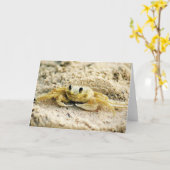 カニ、クラサオ島の挨拶するカリブ島を紙やすりで磨いて下さい カード (黄色い花)