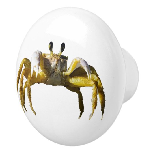 カニ セラミックノブ (右)