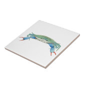 カニ タイル (側面)