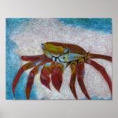 カニ ポスター (正面)