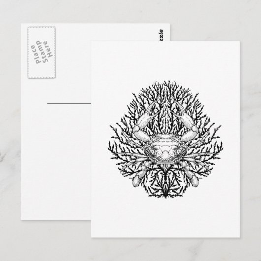 カニ ポストカード (正面/裏面)