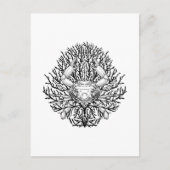 カニ ポストカード (正面)