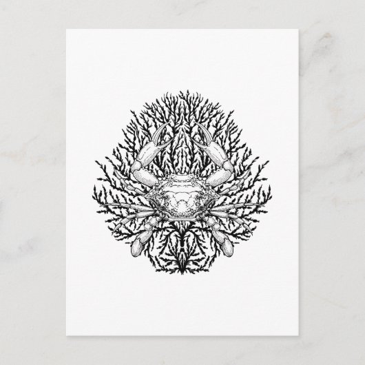 カニ ポストカード (正面)