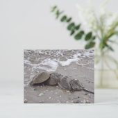 カニ ポストカード (スタンド正面)