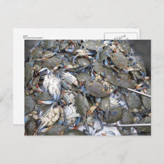 カニ ポストカード (正面/裏面)