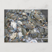 カニ ポストカード (正面)