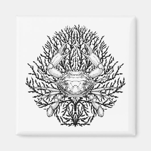 カニ マグネット (正面)