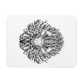 カニ マグネット (横)