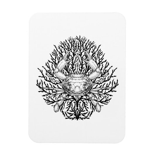 カニ マグネット (縦)