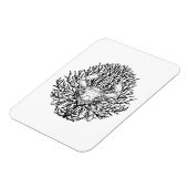 カニ マグネット (左側)