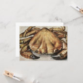 カニ（海底生き物）（アルブレヒト・ダラー著） カード (正面/裏面インサイチュ)