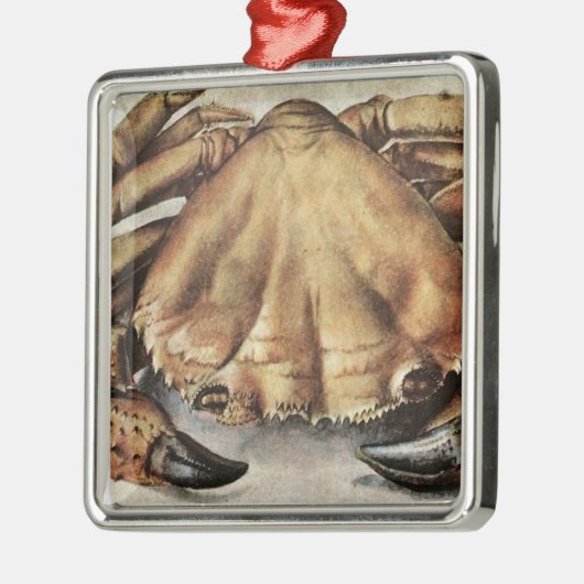 カニ(海底生き物)(アルブレヒト・ダラー著) メタルオーナメント (左)